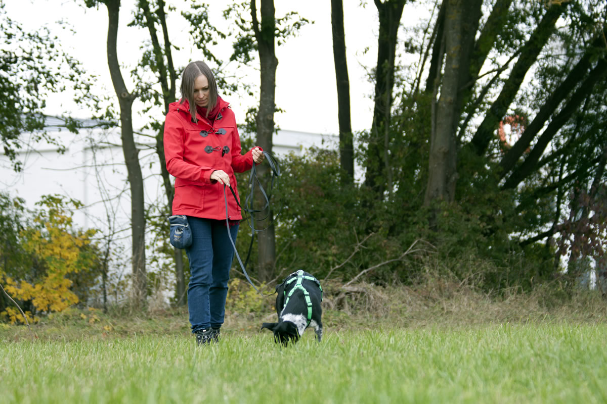 Kleinkind Hund1